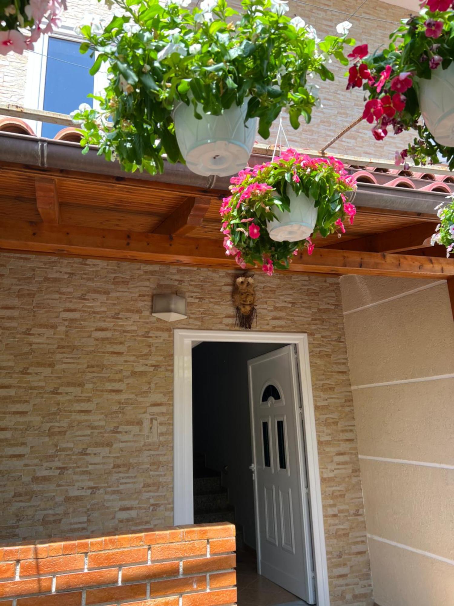 Trip-Stop Apartments Vlorë Eksteriør bilde